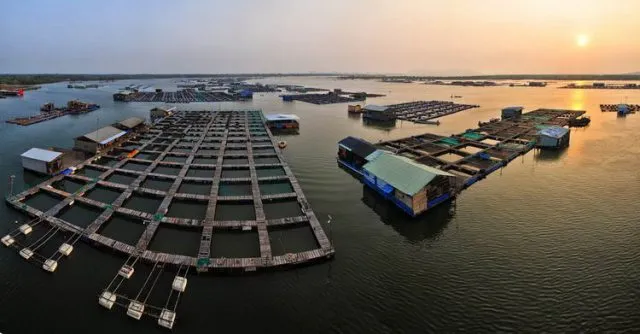 Long Son Raft Village